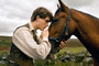 Photo 1 pour CHEVAL DE GUERRE
